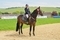 Stephanie Brownbill Secures Nupafeed Supplements Senior Discovery Second Round Victory at Pyecombe